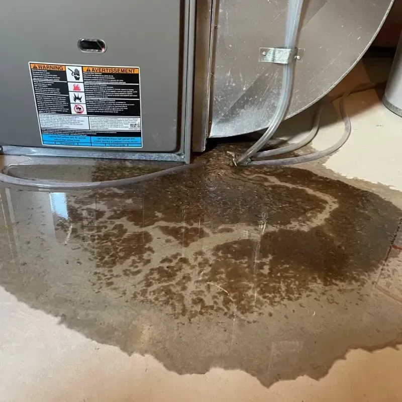 Appliance Leak Cleanup in Indiana County, PA